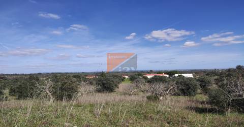 Terreno, Santarém, Tomar, Paialvo