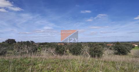 Terreno, Santarém, Tomar, Paialvo