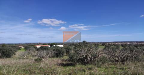 Terreno, Santarém, Tomar, Paialvo