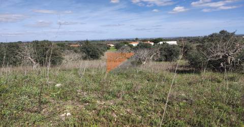 Terreno, Santarém, Tomar, Paialvo