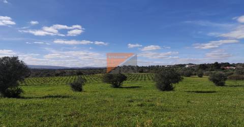 Terreno, Santarém, Tomar, Paialvo