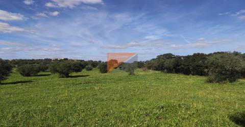 Terreno, Santarém, Tomar, Paialvo