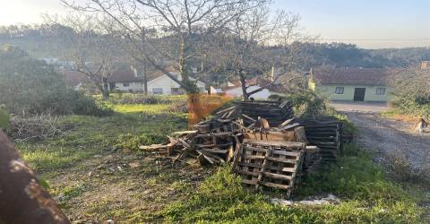 Moradia para Restaurar T3 Venda em Pelariga,Pombal