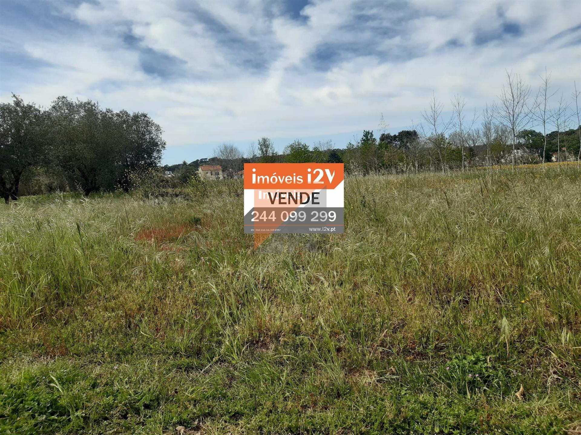 Terreno Para Construção  Venda em Parceiros e Azoia,Leiria