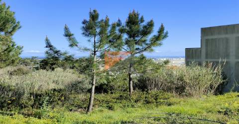 Lote de Terreno  Venda em Buarcos e São Julião,Figueira da Foz