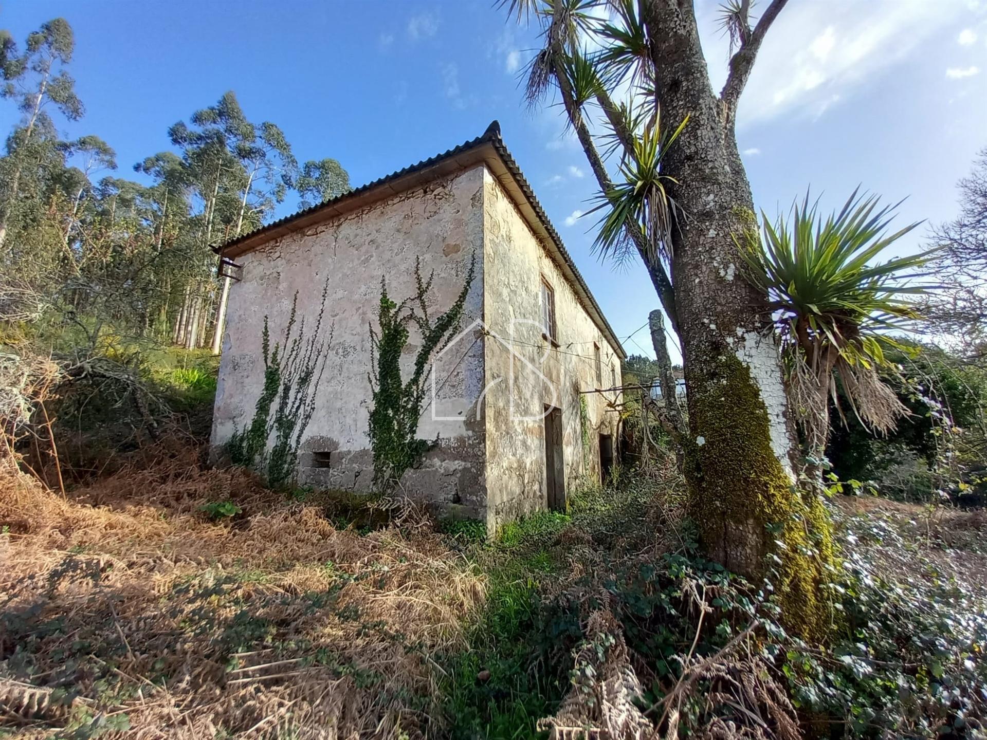 Quintinha com moradia para restauro em Paredes de Coura!