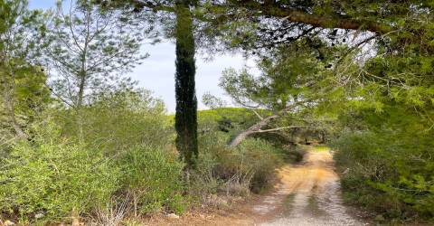 Terreno  Venda em Alcabideche,Cascais