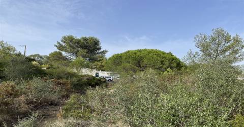 Terreno  Venda em Alcabideche,Cascais