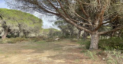 Terreno  Venda em Alcabideche,Cascais