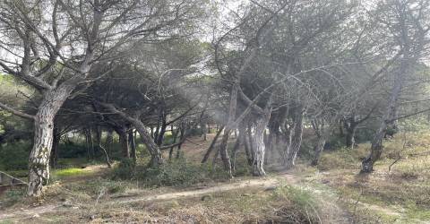 Terreno  Venda em Alcabideche,Cascais