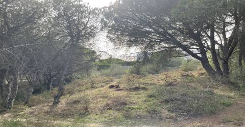 Terreno  Venda em Alcabideche,Cascais