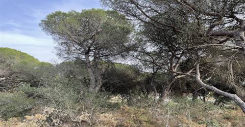 Terreno  Venda em Alcabideche,Cascais