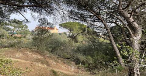Terreno  Venda em Alcabideche,Cascais