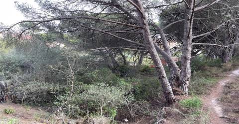 Terreno  Venda em Alcabideche,Cascais