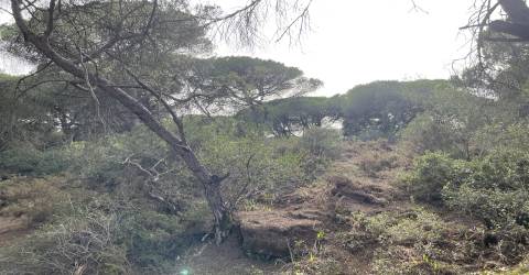 Terreno  Venda em Alcabideche,Cascais