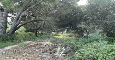 Terreno  Venda em Alcabideche,Cascais