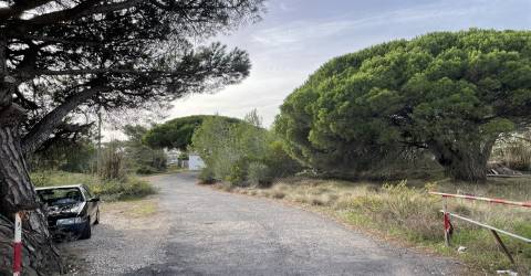 Terreno  Venda em Alcabideche,Cascais