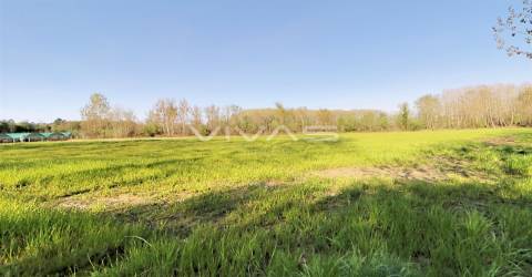 Terreno Rústico  Venda em Vila de Prado,Vila Verde
