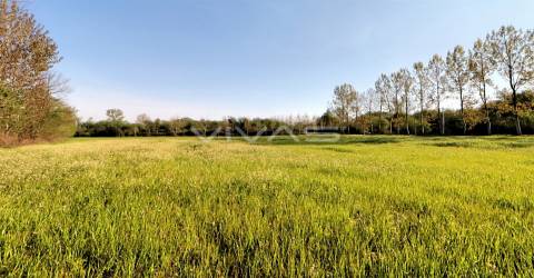 Terreno Rústico  Venda em Vila de Prado,Vila Verde