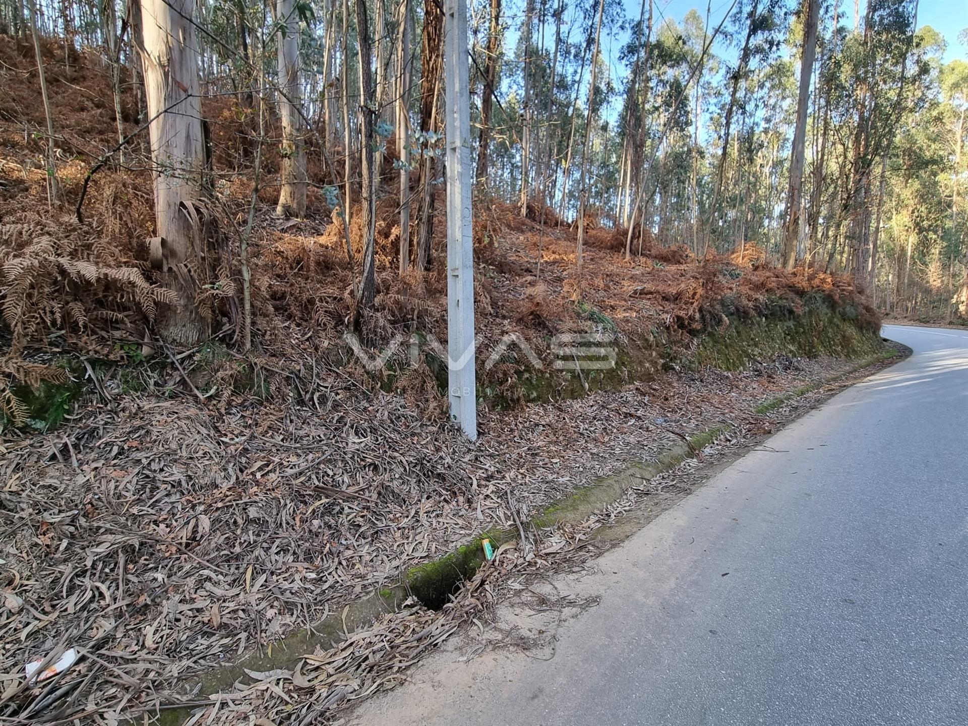 Terreno Rústico  Venda em Escariz (São Mamede) e Escariz (São Martinho),Vila Verde