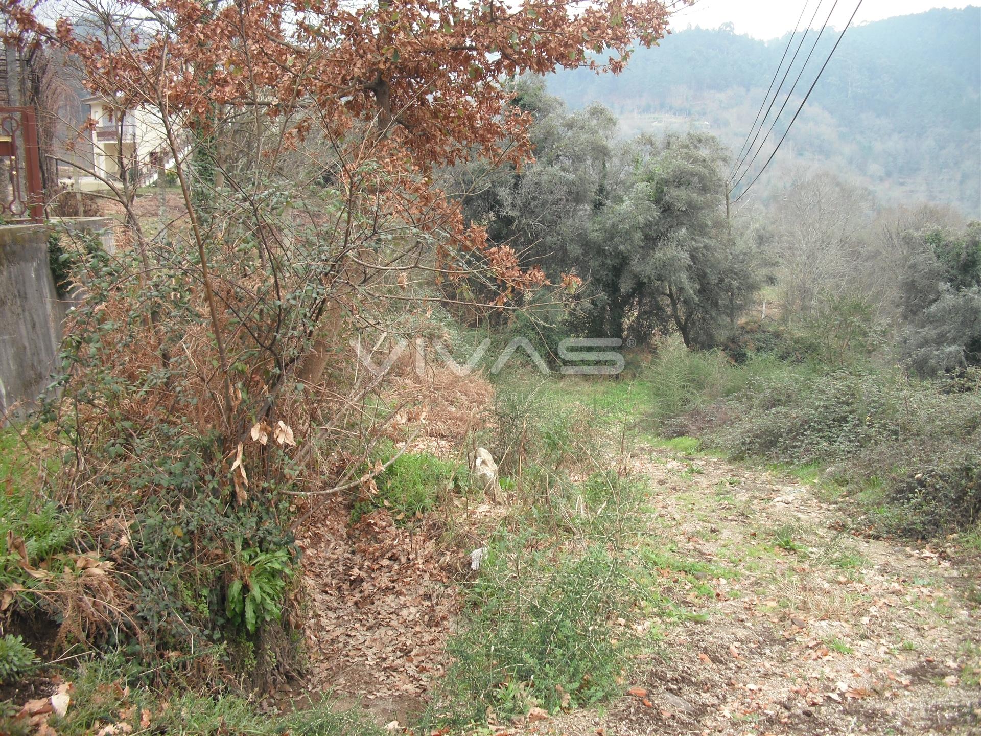 Terreno Urbano  Venda em Vade,Vila Verde