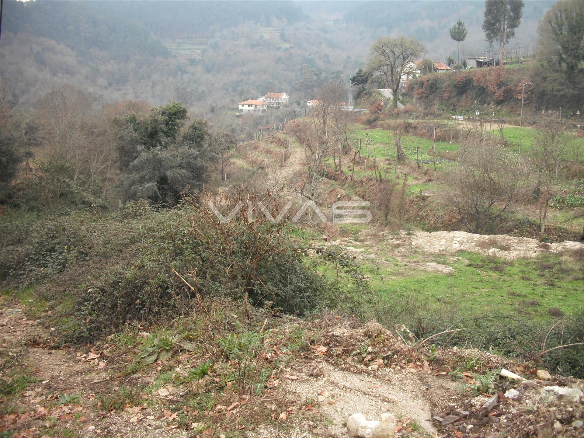 Terreno Urbano  Venda em Vade,Vila Verde