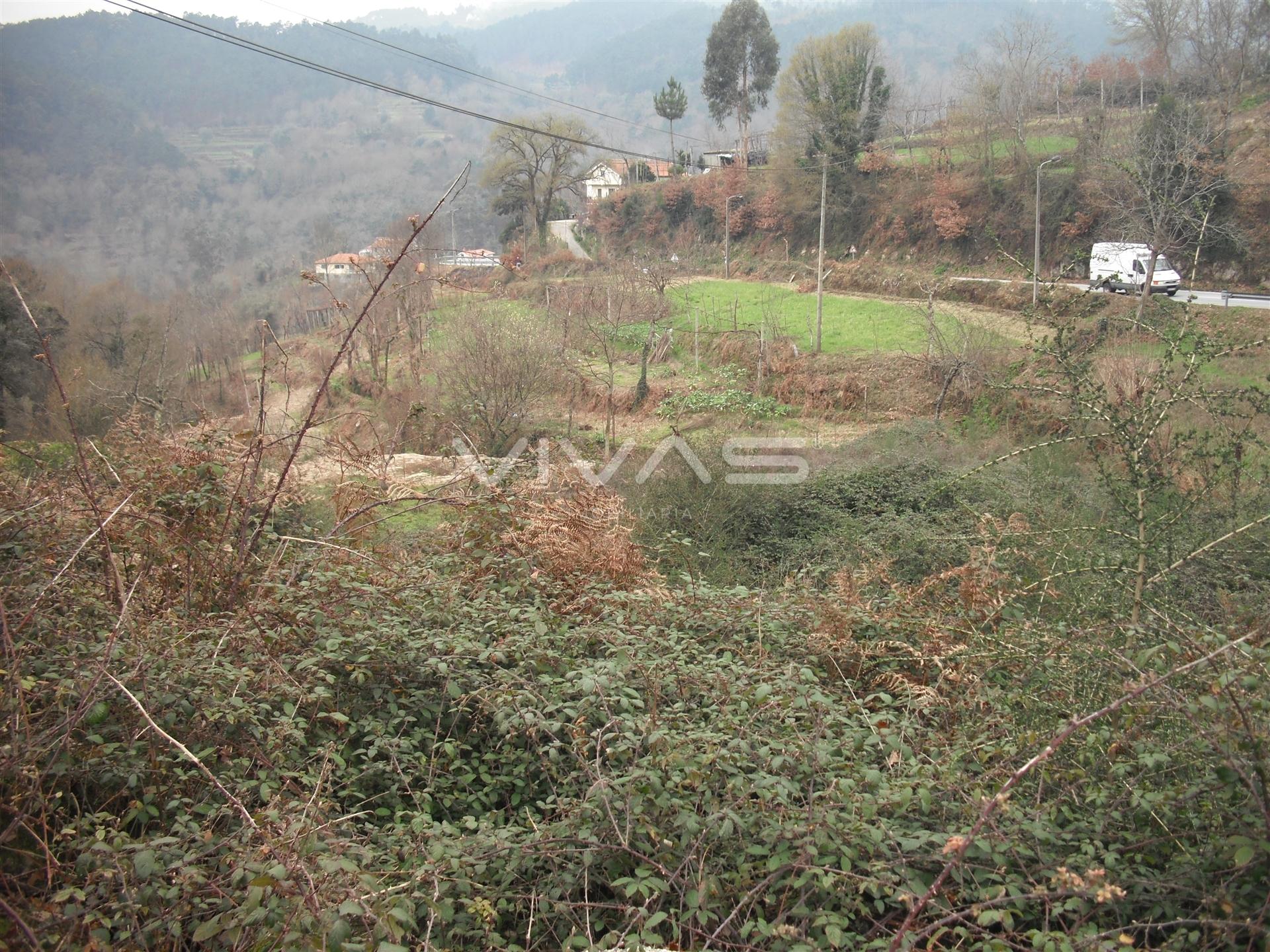 Terreno Urbano  Venda em Vade,Vila Verde