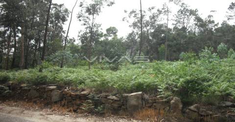 Terreno Rústico  Venda em Cervães,Vila Verde