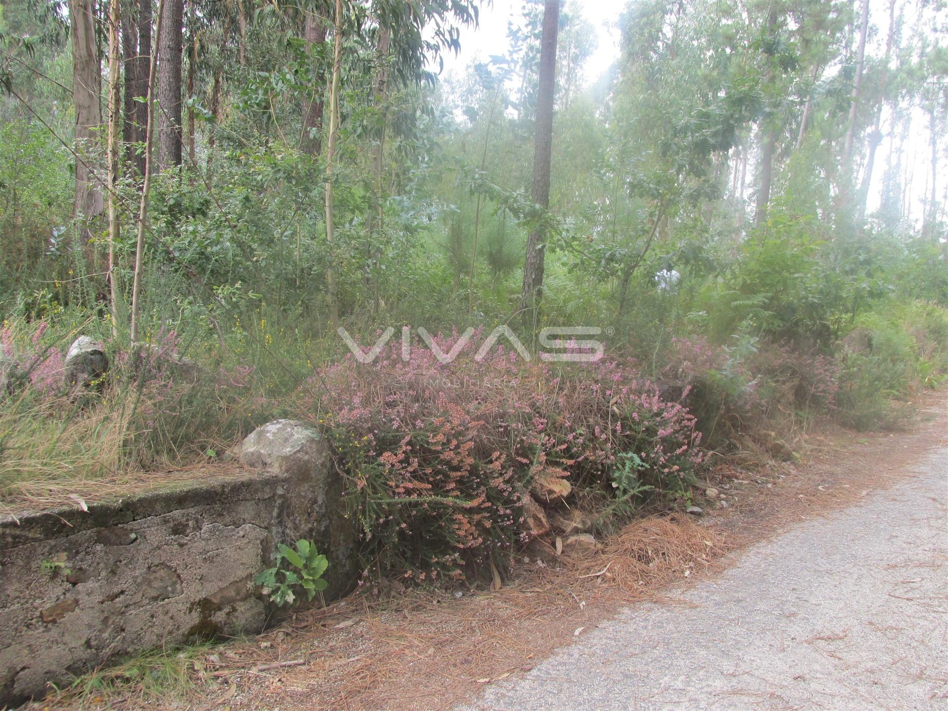 Terreno Rústico  Venda em Cervães,Vila Verde