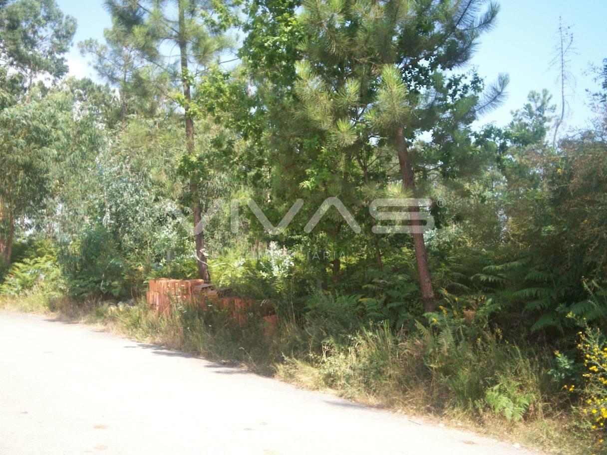 Terreno Urbano  Venda em Vila Verde e Barbudo,Vila Verde