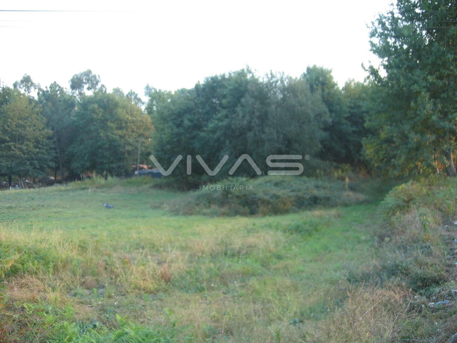 Loteamento  Venda em Pico de Regalados, Gondiães e Mós,Vila Verde