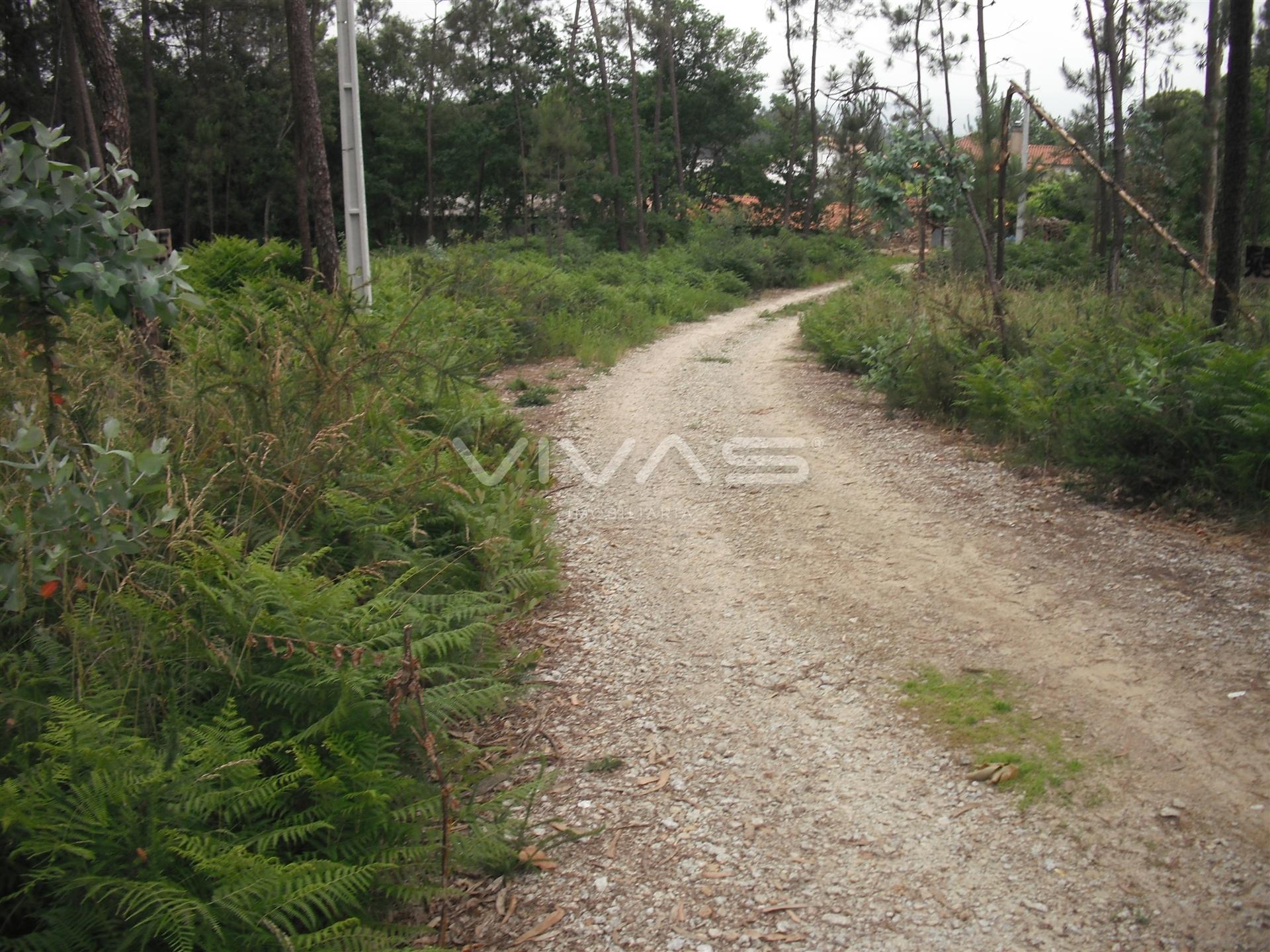 Terreno Rústico  Venda em Cervães,Vila Verde