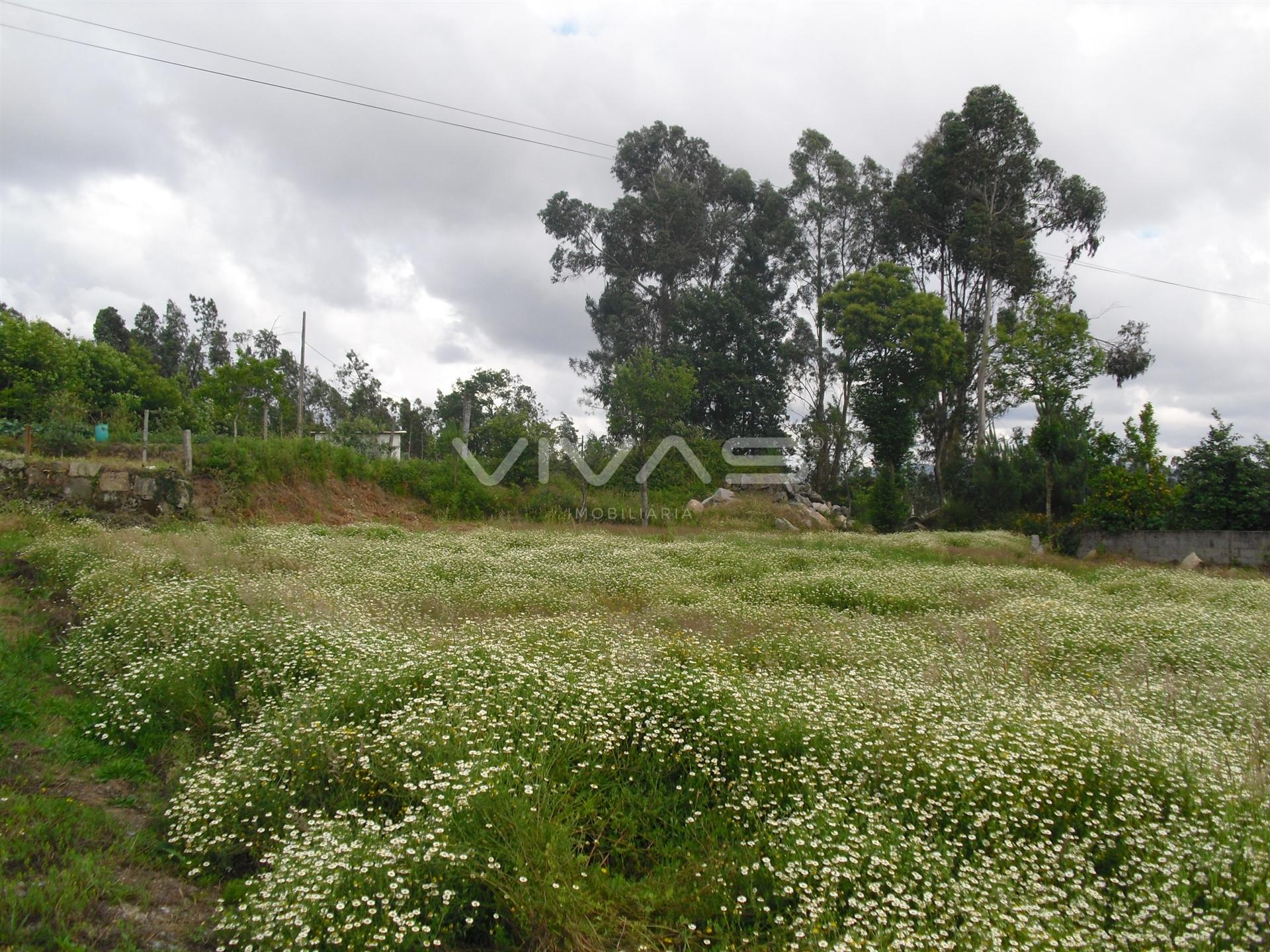 Terreno Urbano  Arrendamento em Vila Verde e Barbudo,Vila Verde