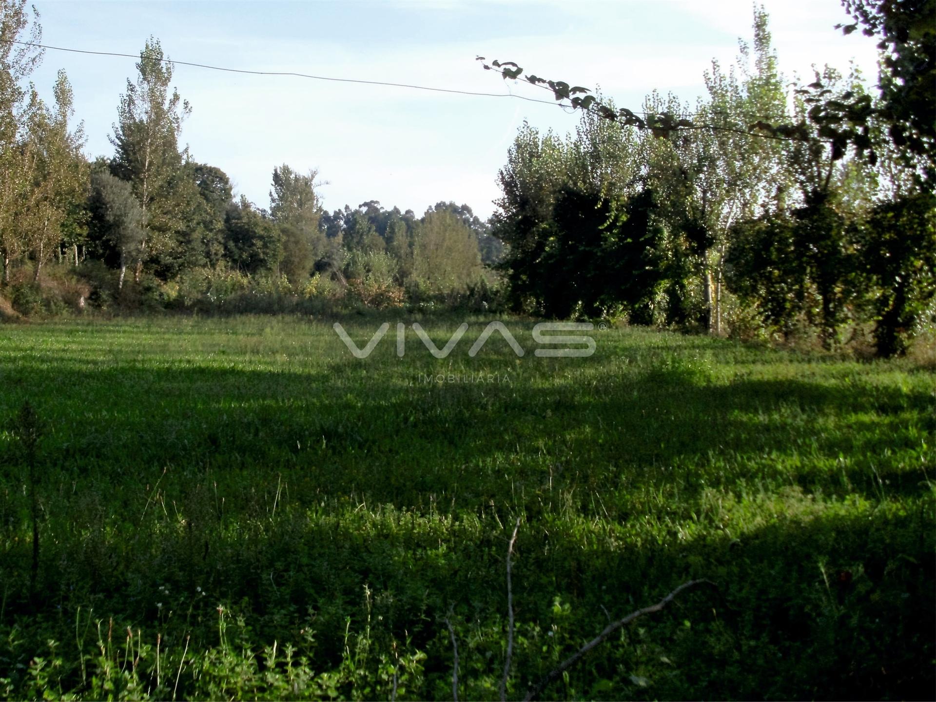 Terreno Rústico  Venda em Carreiras (São Miguel) e Carreiras (Santiago),Vila Verde