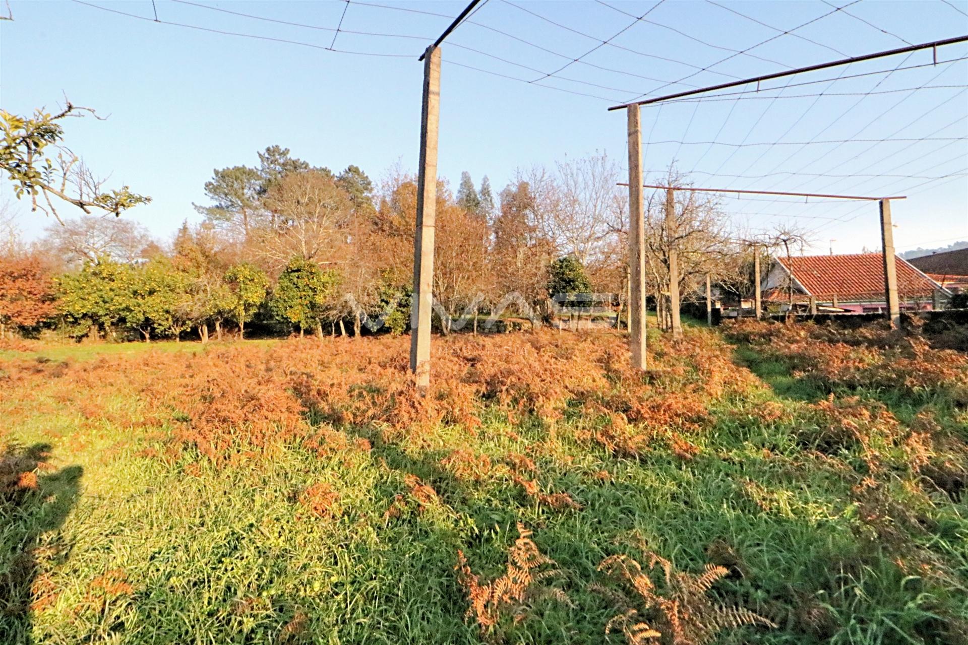 Terreno Rústico  Venda em Sande, Vilarinho, Barros e Gomide,Vila Verde