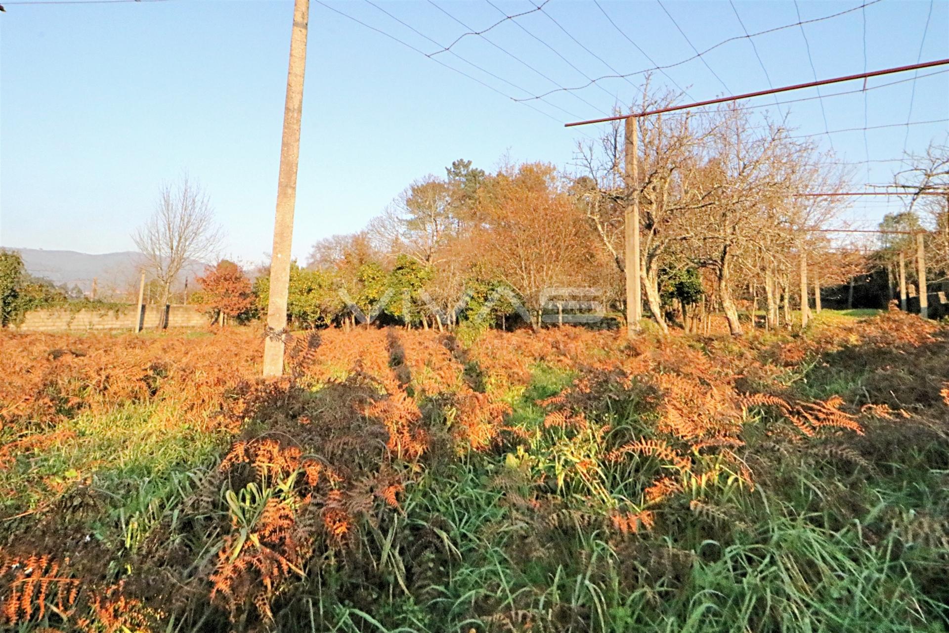 Terreno Rústico  Venda em Sande, Vilarinho, Barros e Gomide,Vila Verde