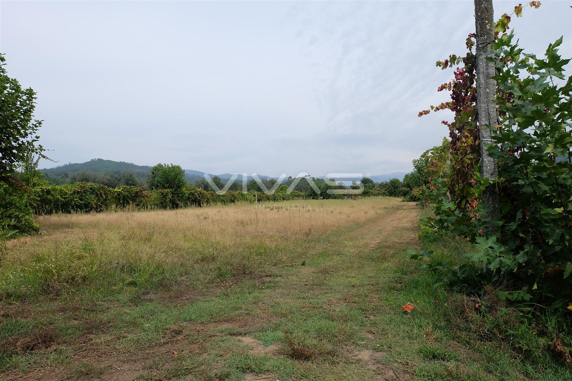 Terreno Rústico  Venda em Ponte,Vila Verde