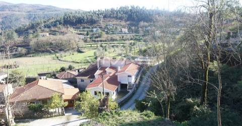 Terreno Rústico  Venda em Gondoriz,Terras de Bouro