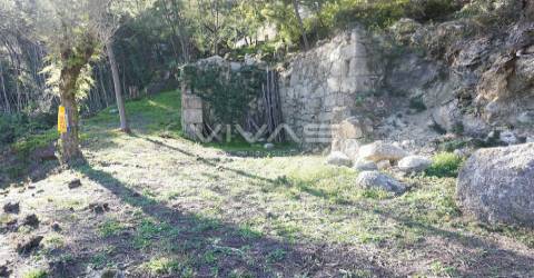 Terreno Rústico  Venda em Gondoriz,Terras de Bouro