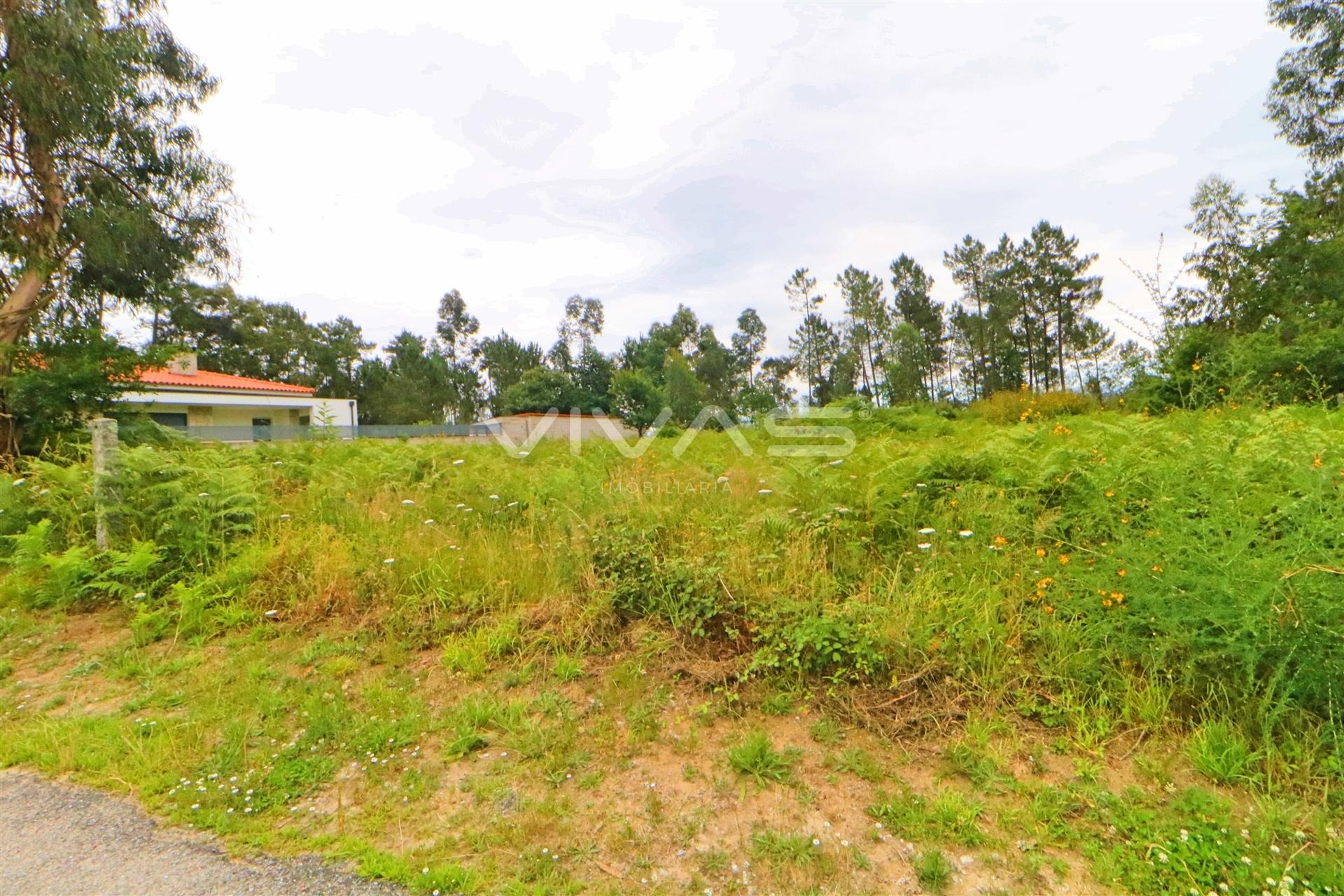 Terreno Urbano  Venda em Vila Verde e Barbudo,Vila Verde