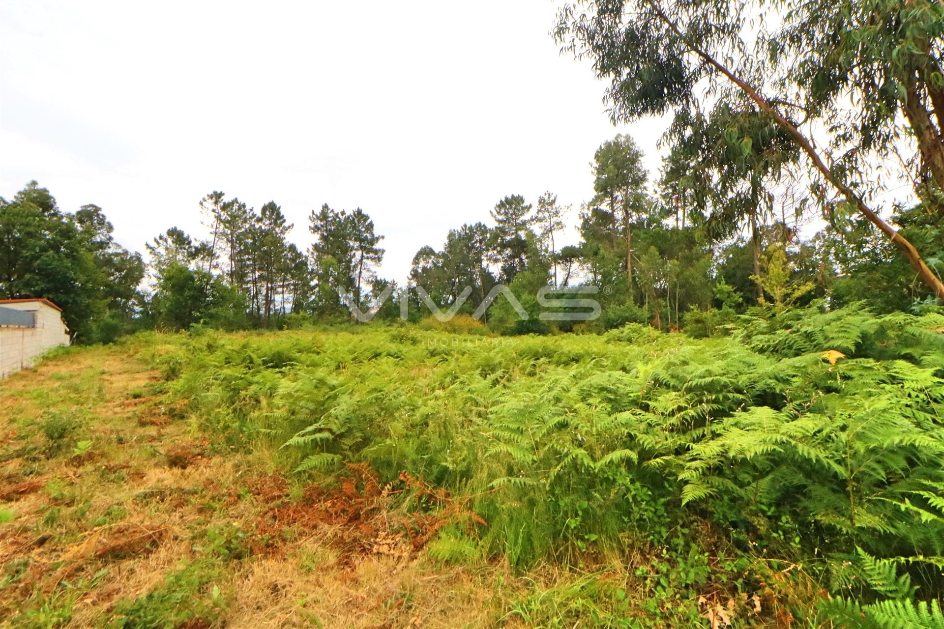 Terreno Urbano  Venda em Vila Verde e Barbudo,Vila Verde