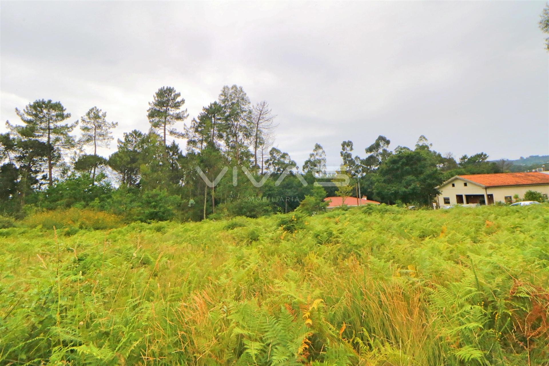 Terreno Urbano  Venda em Vila Verde e Barbudo,Vila Verde