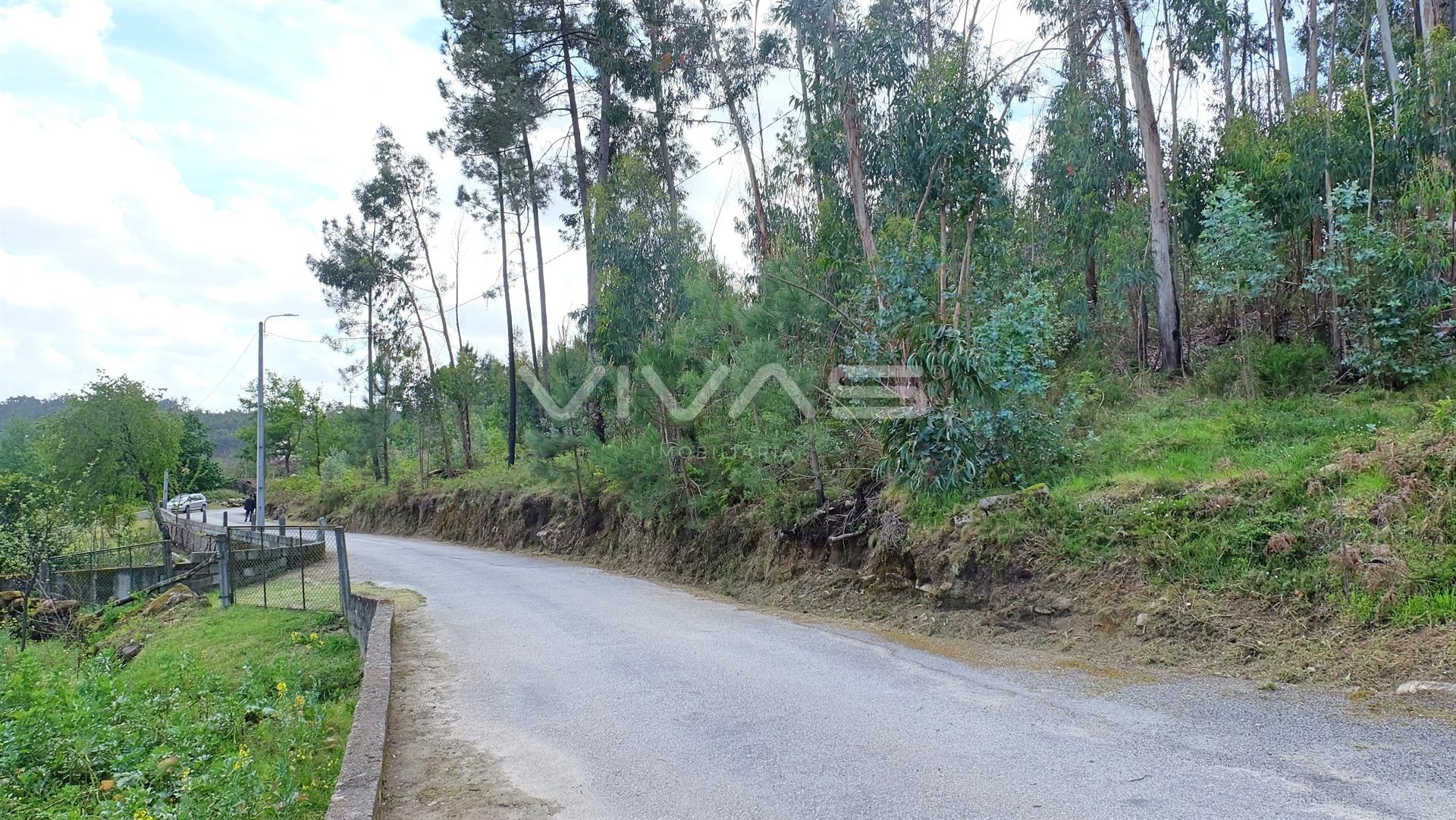 Terreno Urbano  Venda em Pico de Regalados, Gondiães e Mós,Vila Verde