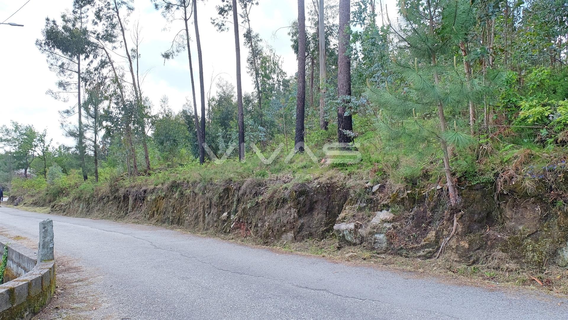 Terreno Urbano  Venda em Pico de Regalados, Gondiães e Mós,Vila Verde