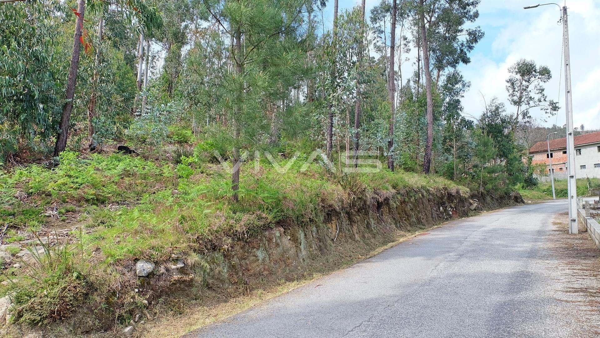 Terreno Urbano  Venda em Pico de Regalados, Gondiães e Mós,Vila Verde