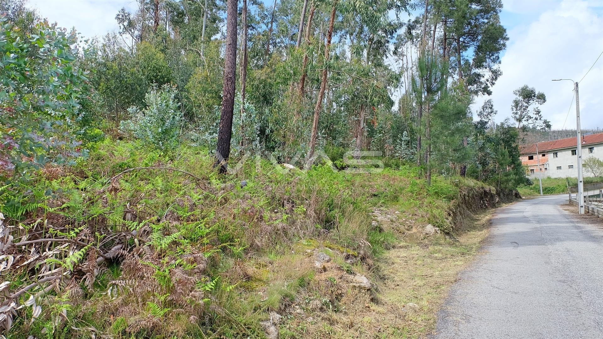 Terreno Urbano  Venda em Pico de Regalados, Gondiães e Mós,Vila Verde