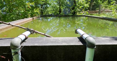 Terreno Rústico  Venda em Caires,Amares