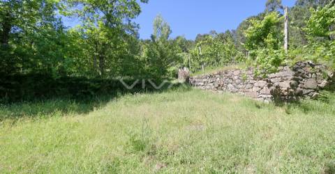 Terreno Rústico  Venda em Caires,Amares