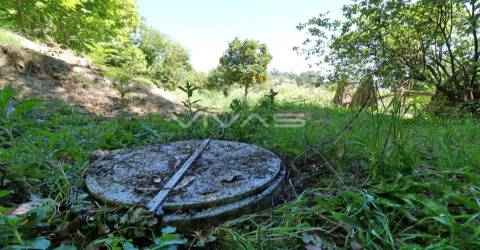 Terreno Rústico  Venda em Caires,Amares