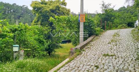 Terreno Rústico  Venda em Caires,Amares